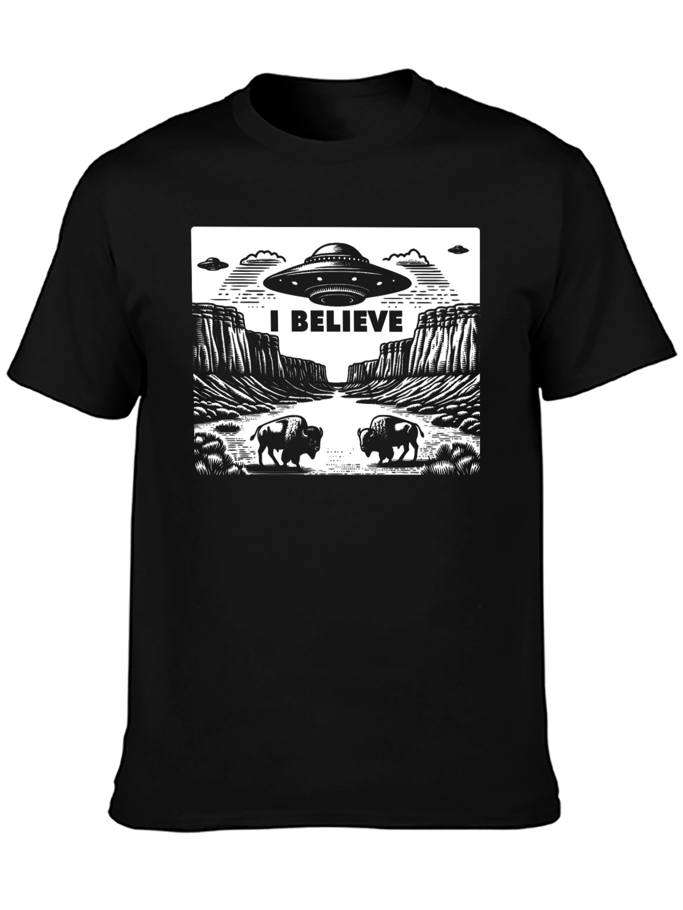 I Believe UFO Graphic T-Shirt