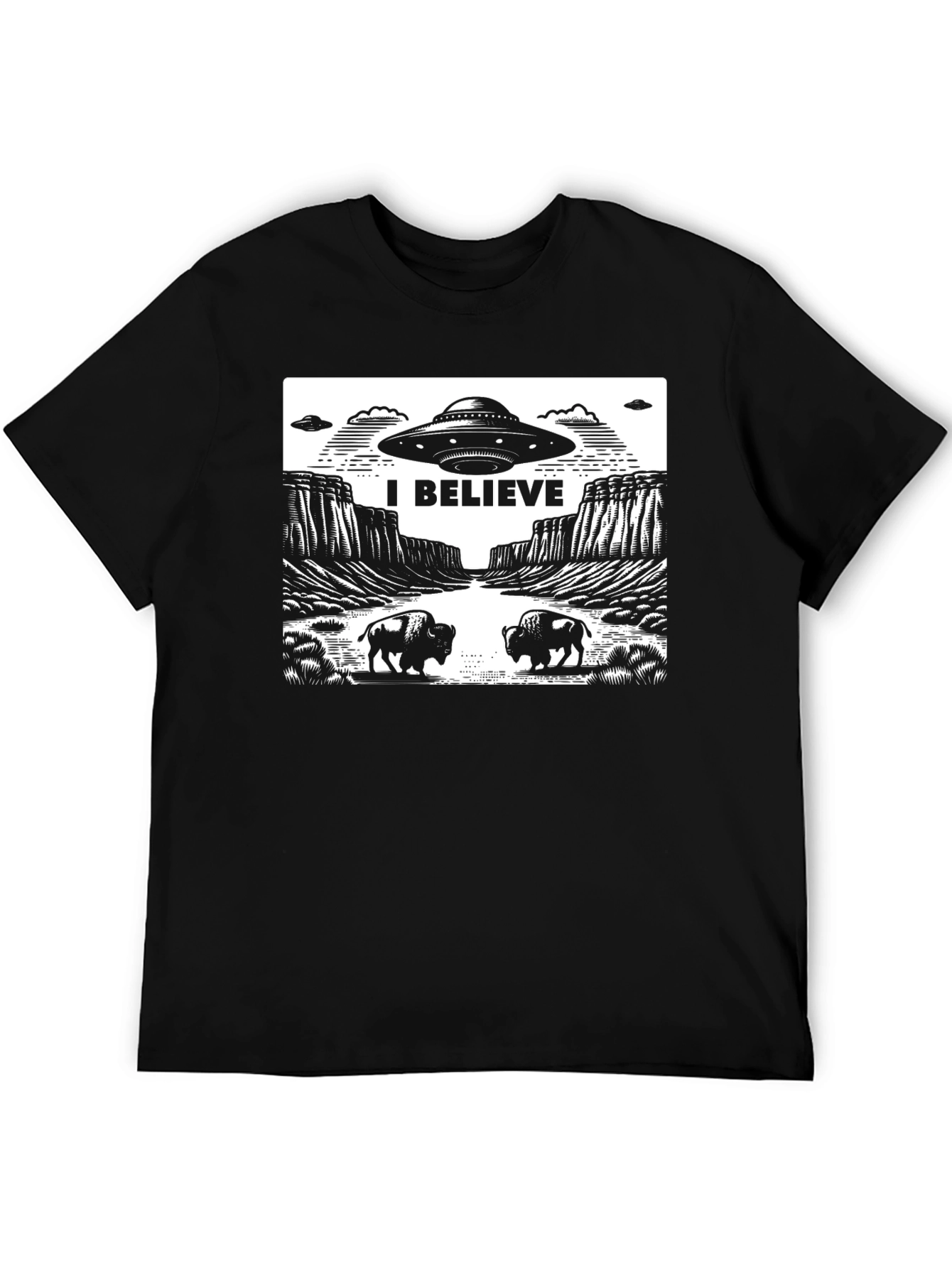 I Believe UFO Graphic T-Shirt