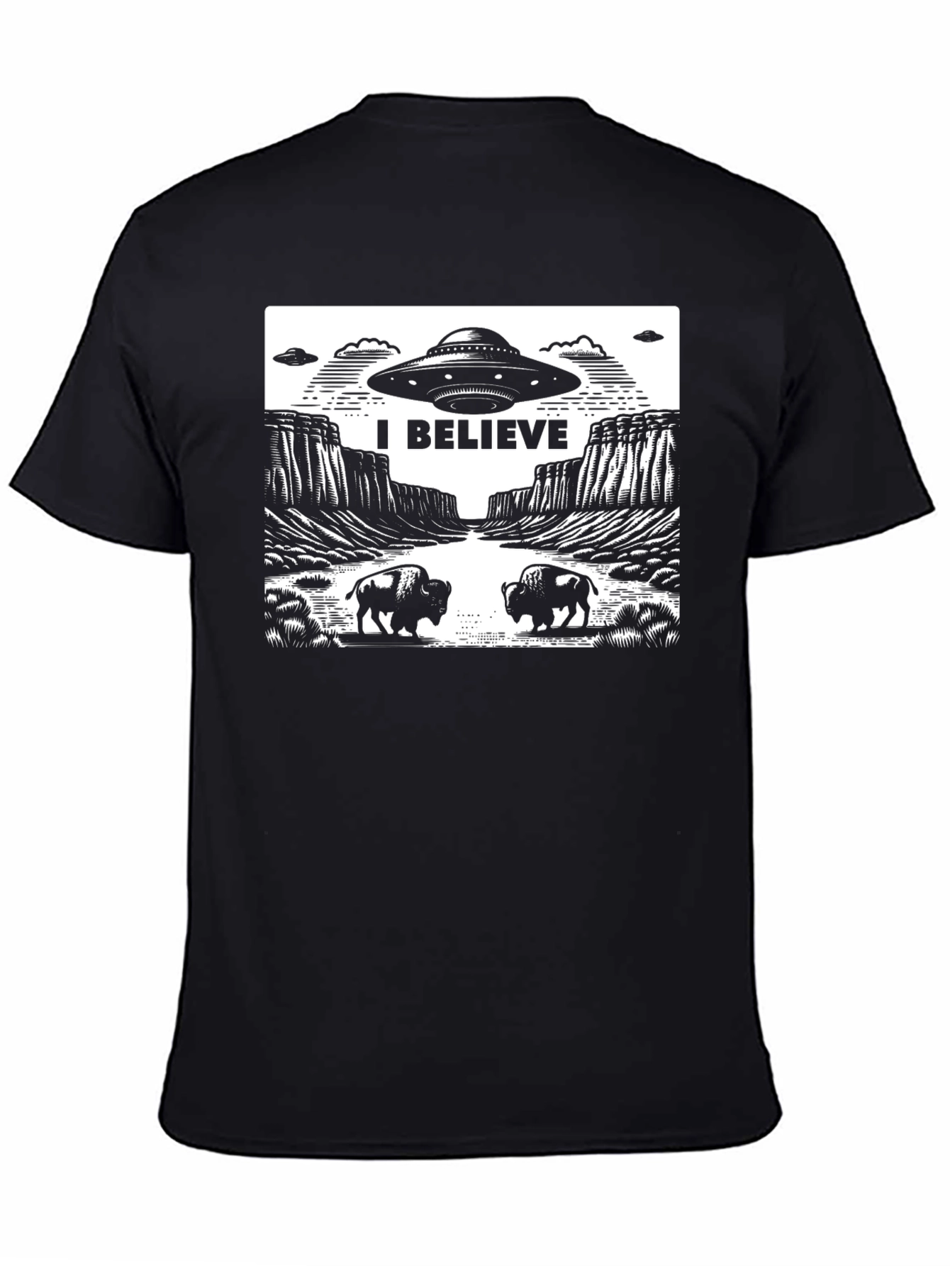 I Believe UFO Graphic T-Shirt